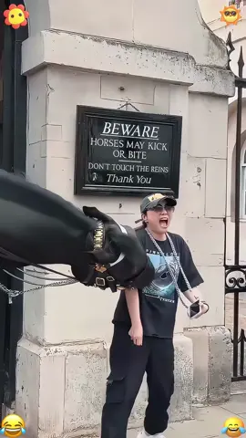 Don’t touch the king’s hourse at horse guards in london#kings #horseguards #fyp #foryoupage #tiktok #foryou 