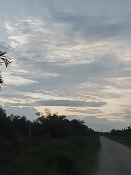 kata kata saat BONCOS...#fypppppppppppppp #mancingmaniajambi #anglerindonesia #mancing 