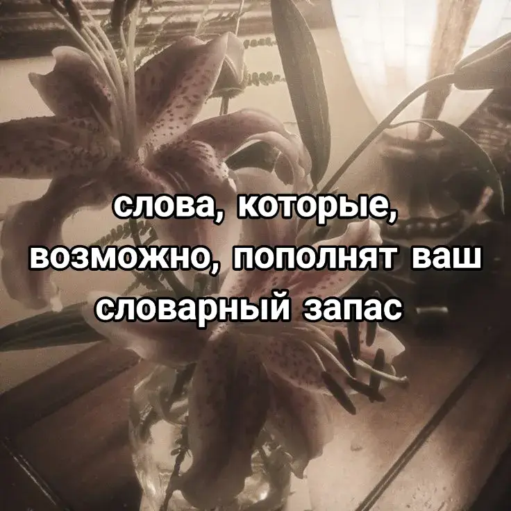 тгк: @llanmee – в этом канале вы сможете найти много советов, помощь, практики и теории как и для начинающих, так и для опытных писателей.  #щп #помощь #книга #рассказ #персонаж #художник #писатель #ролка 
