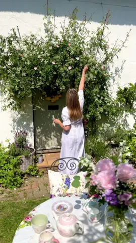 Entirely inspired by Chelsea and Belgravia in Bloom, I have decided to create a tiny rectangle of blooming countryside. Admittedly this is a little easier for me given that every square inch of lane and field is blooming and I can just grab flowers from my garden but it’s the thought that counts surely? And I did use tiny little water holders wired into the wreath for the roses so this counts as excellent floristry skills. What a week of beautiful blooms in town and country. I think everyone needs a well earned sit down now. Happy floral filled Friday xxx #cottage #floralinspo #flowerinspiration #chelseainbloom #myfrontdoor #doorwreath 