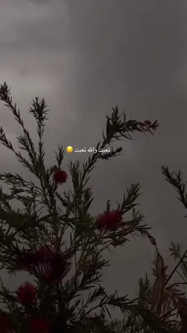 #فعلان👌🏻 تعبت والله تعبت 😔