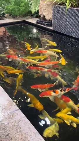 “Nếu chúng ta cứ mãi lo lắng về cái mà ta đã bỏ lỡ, thì có thể sẽ bỏ lỡ luôn cả cái mà ta đã có trong tay. Trải qua nhiều chuyện thì lời nói chỉ nên tin một nữa, nửa còn lại hãy để thời gian chứng minh. Người không tốt với mình, mình phải càng tốt với họ. Khi tâm mình bình yên thì chẳng có sóng gió nào làm lung lay được. Gió to chưa chắc đã là mưa. Gặp nhau là duyên nhưng chưa chắc đã có phận. Đến cuối cùng, cái gì không phải sự ưu tiên thì đều không là gì cả. Lòng người như biển cả, chỉ nhìn mặt nước thôi thì chưa đủ đầy. Một tình yêu đúng nghĩa sẽ không để bạn phải hoài nghi về giá trị của mình. Nếu không đủ mạnh mẽ, hãy chọn người yêu mình. Nhưng nếu đủ bản lĩnh, hãy chọn người mình yêu. Hoá ra người ta ngày ấy chỉ là cảm động. Chứ không hề rung động...” #HuyenTrangBatHoi #capcut 