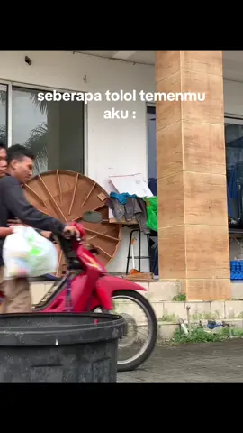 tante bawa pulang anakmu