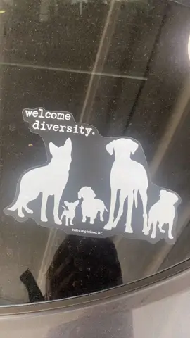 I’m all on folks vehicle🤣#fypage #dogsoftiktok 