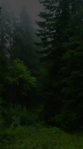 يارب بــارك خطاي ، و بــارك طريقي ،  وبارك حياتي ومكني في الأرض و باركني  و انزلني منزلاً مباركًا و أنت خير المنزلين🤲🤍🌹@🍂قوالب''دينية🍂 #CapCut #viral #Foryou #foryoupage #fypp #fyp #fyppppppppppppp #lyric #parole #trend #trending #Tiktok #1millionaudition #100kviews #القران_الكريم_راحه_نفسية😍🕋 #شعب_الصيني_ماله_حل😂😂 #الجزائر🇩🇿 #الله_اكبر #الحمدلله_دائماً_وابداً #اللهم_صلي_على_نبينا_محمد 