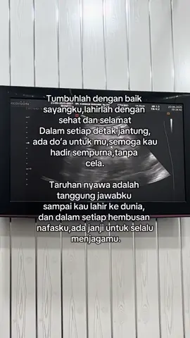 Do’a ku selalu menyertaimu, malaikat kecil ku 👶🏻🫶🏻✨#bumilhappy #bumilsehat #bayisehat #bumil #pregnantjourney 