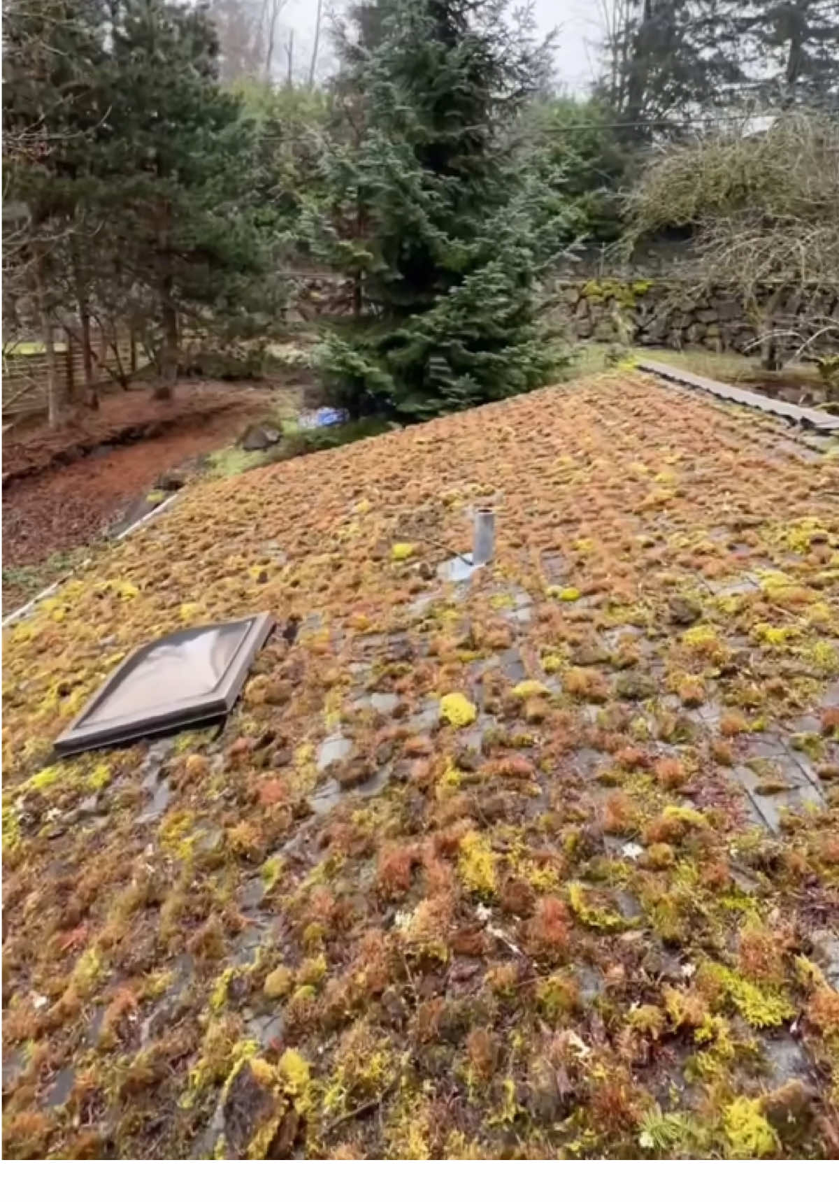 Ultimate Cleaning & Lawn Care ASMR – So Satisfying You’ll Want to Clean! #uncloggingdrains #cuttinggrass #cleaninghouse #satisfying #asmrsleep #asmrsleeprelax #cleaninggarden #camping #tips #cleaningsatisfying #homecleaning #housecleaning #satisfyingcleaning #cleaningasmr #lawncare #lawnmowing #lawnmower 