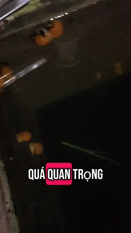 #CapCut Đúng Đúng muốn quên một người chỉ cần biết ngta có người khác là quên được thôi….😂😂