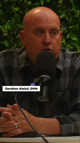 ⚠️ Do Vaccines Cause Seizures in Dogs?Over-vaccination is real — especially in sensitive breeds like Akitas. While rare, immune-triggered neurological issues can follow clustered vaccines. 💉 Don’t double-up on distemper and rabies. Don’t stack five shots in one visit. Spread them out. Protect your pup with smart, safe protocols. #RabiesVaccinosis #DogHealth #AkitaCare #VeterinaryTips #OverVaccination #PetSafety #VetMedicine#VaccineConcerns #SeizuresInPets #OverVaccination #PetHealth #VeterinaryMedicine #AnimalWellness #VaccineReactions #DogHealth #CatHealth #ResponsibleVaccination #fyp