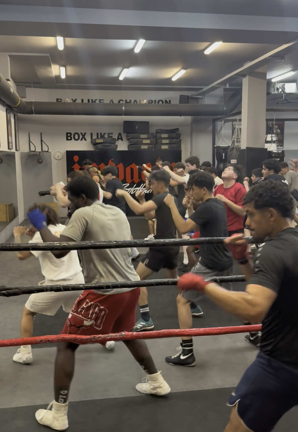 #boxingfan #fyp #foryoupage❤️❤️ #boxingtok #fighter #sparring 