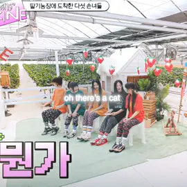 the way i’ll never love any other idol more than her 💔 cc: haeinsify #haerin #njz #newjeans #kpopedit #aftereffects #haerinedit 