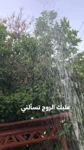 عليك الروح تسئلني شعجب ماجاك محبوبك#باسم_الكربلائي 