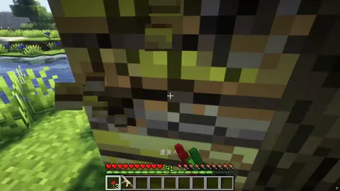 want to be shot #fypシ #foryoupage #fypage #Minecraft #minecraftmemes 