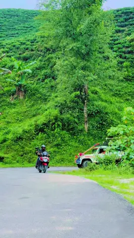 Bus ma janti kochera 🤟🤟🤟🤟 Gaiyo hai behuli lina lai ❤️❤️❤️❤️ #❤️❤️  #goviral  #marriage  #vibes  #fyp  #ilammuser  @D-pace official @kopeelakhatiwada1 @किरण रेग्मी @Bikash Upreti @Mahalaxmi Airbus (Official) @𝓓𝓪𝓿𝓲𝓭 𝓥𝓵𝓸𝓰𝓼 @ilameli travels and tours @bhanja Hotel kanchanpur @Bus_spotting_from_purba🚍️🇳🇵 @Official_Bus_Video🇳🇵 @SUNDAR BIHANI AIR BUS !! @Deluxebus_of_purba @Prakash Shrestha 