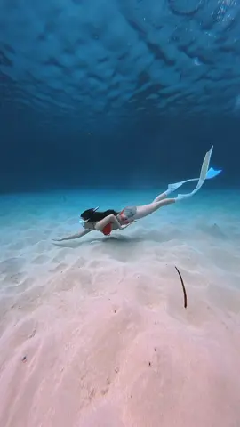 hoà với đại dương sự tự do không giới hạn 🩵  @Lê Phương Thanh Vy               #freedivingatphuquy #freedivingphuquy #huyendaophuquy #daophuquy #freedivinggirl #freedivingboy #freedivingphotography #freedivingvideo #freediving #quanbokebailang #baican #phuquyisland #lanbien #taodanglanbien #khongbietboicolanduockhong #xuhuong #tiktok #viral #