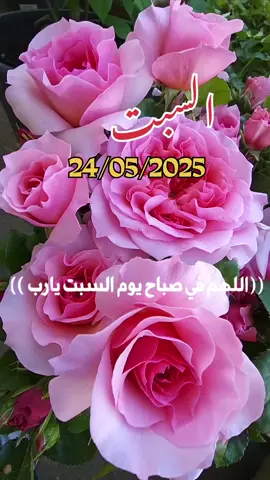 اللهم_في_صباح_يوم_السبت_يارب#دعاء_يريح_القلوب _أنشر _ اكتب شيء_ سورة الكهف_وصلي على سيدنا محمد ﷺ#اسلاميات_صور_مقاطع_ايات_معلومات_قرآن_مسلم_ادعية_استغفر_الله #fypシ゚viral #1millionaudition #🤲🤲🕋🕋🤲🤲 #عيد_سعيد  Oh mon Dieu, Samedi, Seigneur Oh God, on Saturday Lord