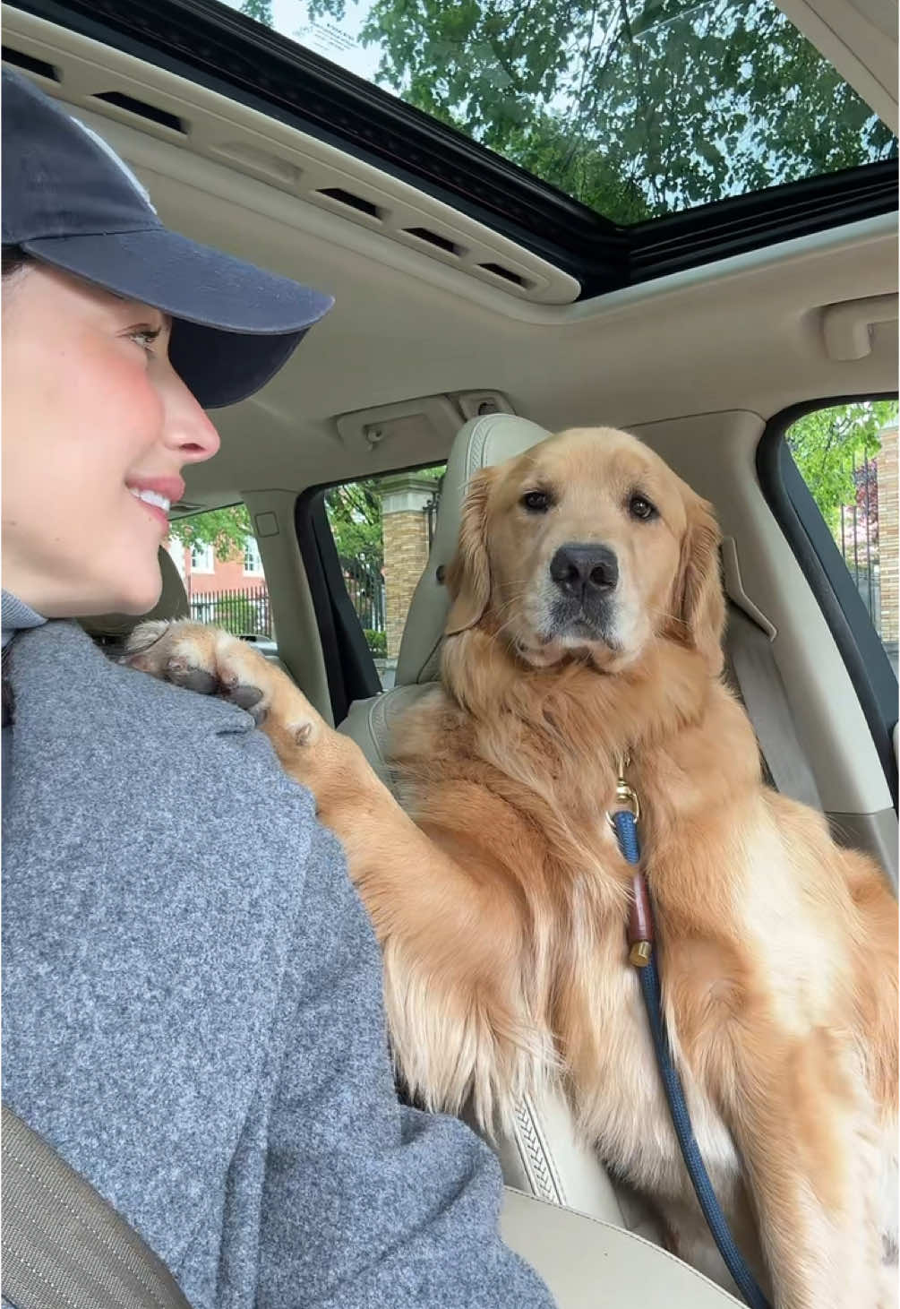 My passenger prince 👑 (we’re parked btw ✨)  #fyp #foryou #foryoupage #goldenretriever #goldenretrieverlife #dogmom 
