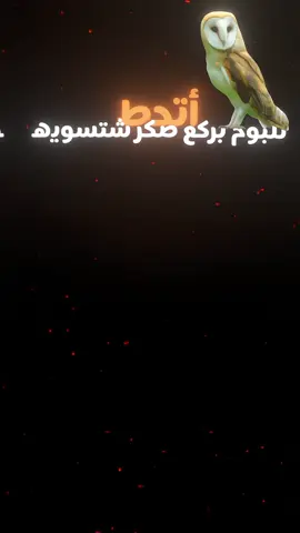تحط للبوم بركع صكر شتسويه الئناء يضل ئناء شما ينضح البي #تصميم #تصاميم #مشاهير #مشاهدات #شاهد ##ناضم_المرياني #الجنوب #العراق #جديد #قصايد #السماوه #البصره #بغداد 