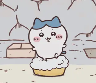 #xhtiktok #xh #Hachiware #Momonga #chiikawa #usagi 