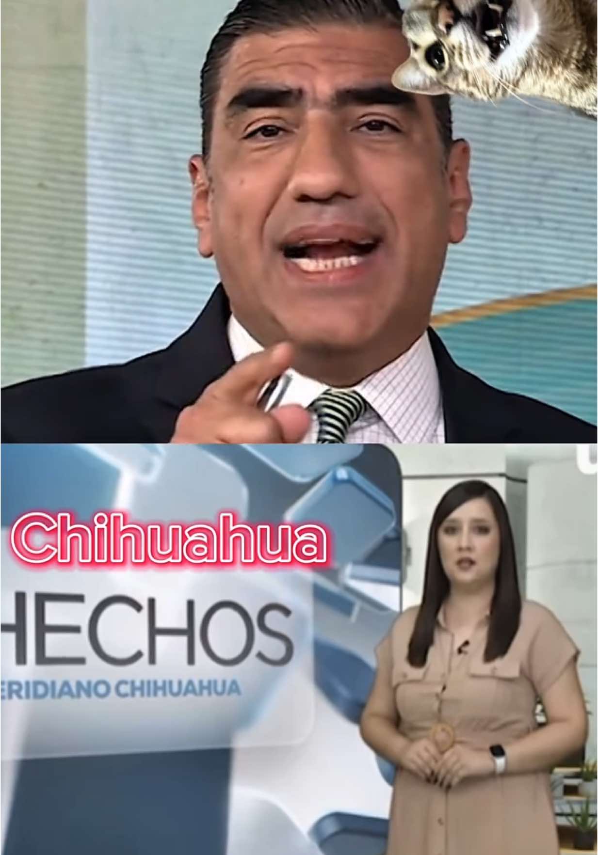 El nado sincronizado nacional #pan #pri #morena #claudiasheinbaum #pannaranja🍊 #PRIAN #vendepatrias 