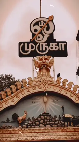 எந்நிதியும் தருவான் செல்வச் சந்நிதியான் 🦚🙏 || முருகா…..🥹🙏🦚  #முருகன் #murugan #srilanka #sannithimurukan #jaffna #🦚 #🙏🙏🙏 