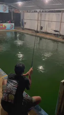 ngegel wooo😅#fyp #masukberanda #mancing #jogja24jam #wonosari24jam #mancingmaniajogjakarta #besutanjogjakarta 