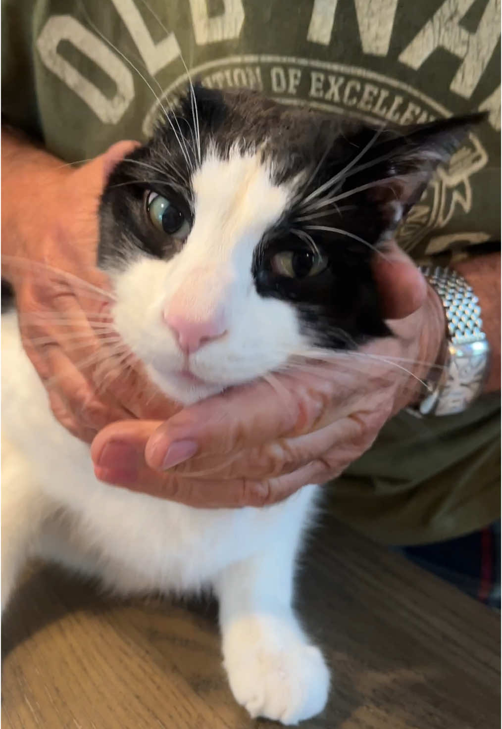 Are your dog or cat constantly scratching their ears? Soothe the itch and clean gently with Wellix Ear Rinse – a vet-formulated solution that fights infection, calms inflammation, and removes odor. Safe, gentle, and fast-acting. Happy ears, happy pets! #PetCare #DogMom #CatDad #ItchyEars #EarInfectionRelief #VetApproved #PetHacks #HealthyPets #DogLife #CatLife #PetTips #EarCleanerForPets#TikTokShop 