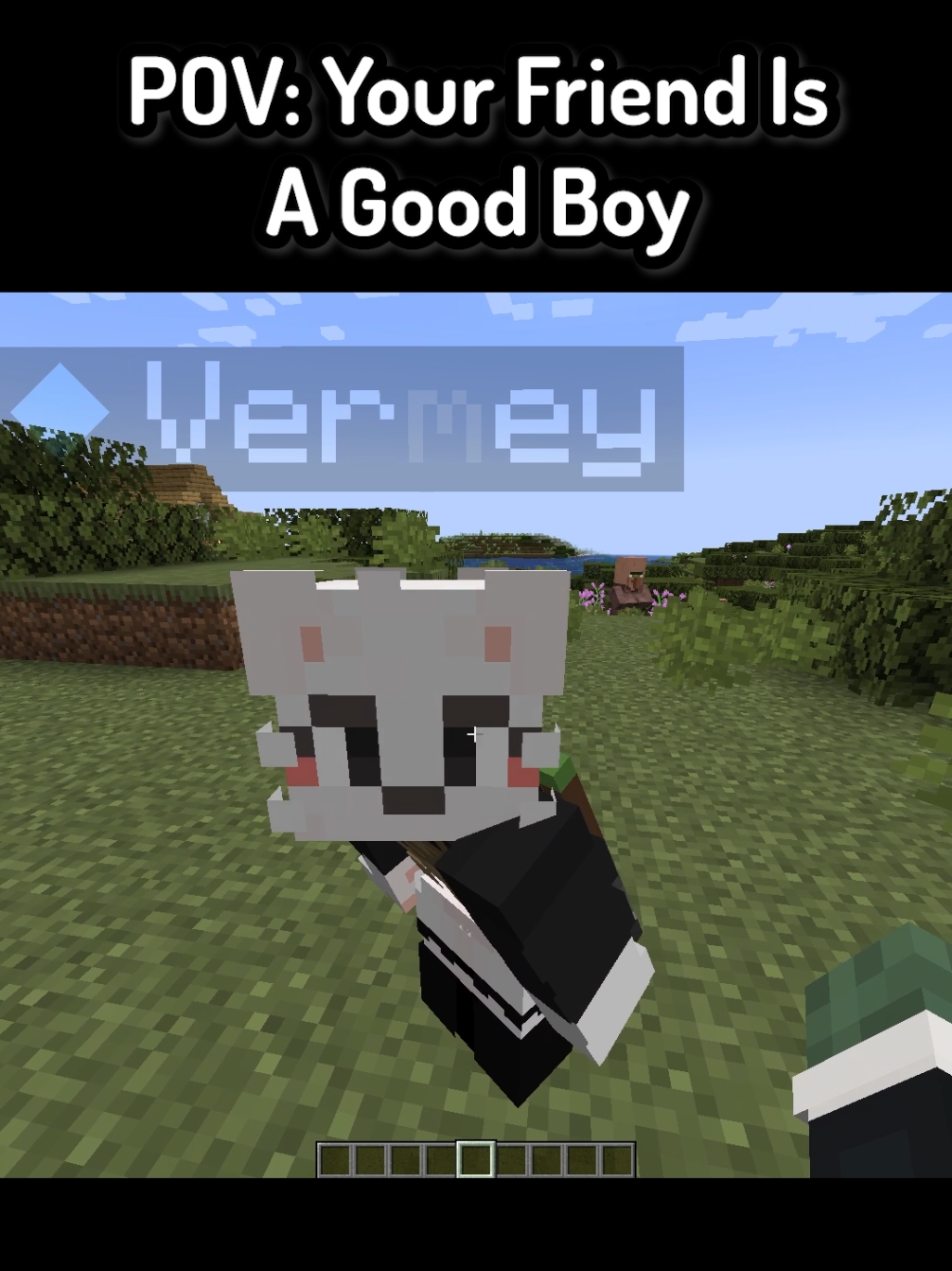 POV: Your Friend Is A Good Boy In Minecraft ( FT: @Vermey ) #Minecraft #funnymoments #mc #mcyt #minecraftmemes 