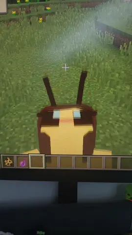 @carm ⧽ 🪾 #invincible #bee #bees #invincible #mark #Minecraft #jennymod 