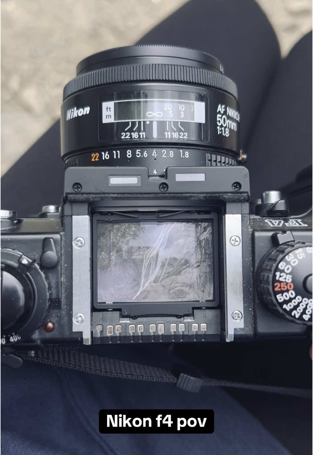 #nikonf4 #nikon #photographer #nikonfilmcamera #nikoncamera #foryou #filmphotography #35mmfilm #35mm #film #nature #naturephotography #filmphotographer #nikonf3 #waistlevelfinder #expiredfilm #expiredfilmclub 
