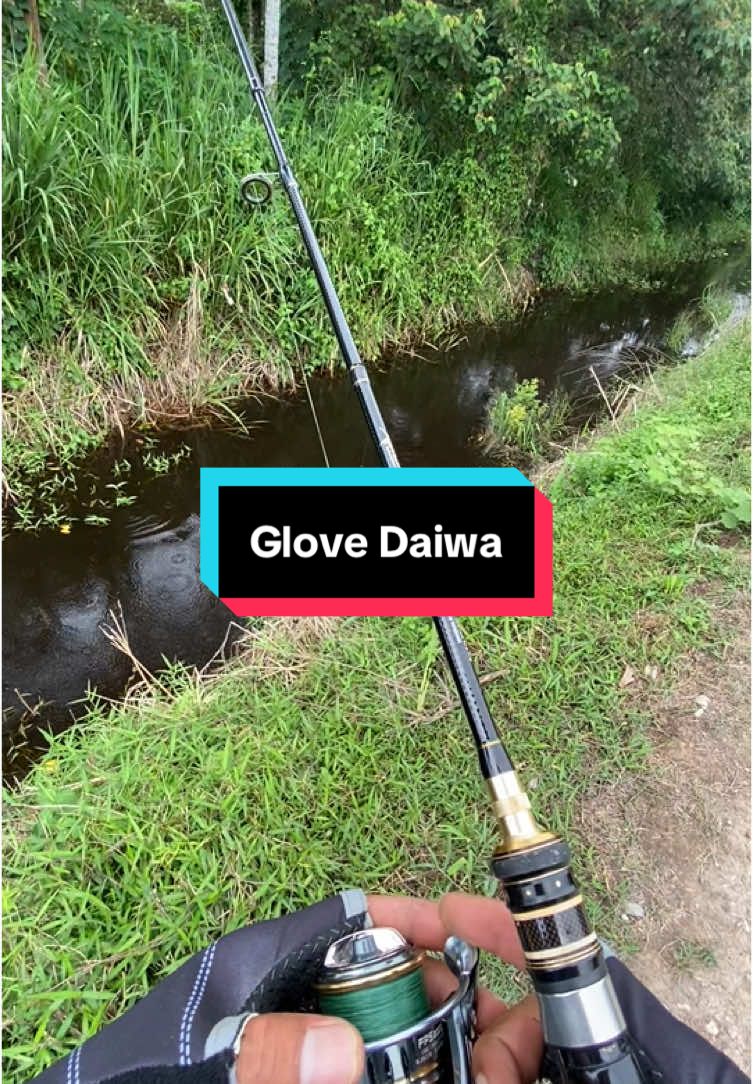 Semat geng glove daiwa ni harga pun murah je 😎 #Glove #Fishing #Daiwa #Casting #fyppppppppppppppppppppppp 