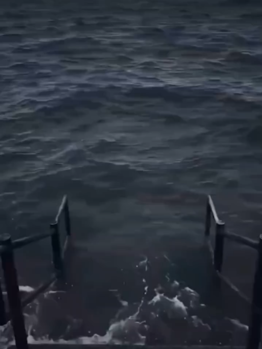 #🗿 #memee #memevideos #memereceh #memedaily #ngakaklucu #memes #memestiktok #asupanmeme #funnyvideos #humortiktok 