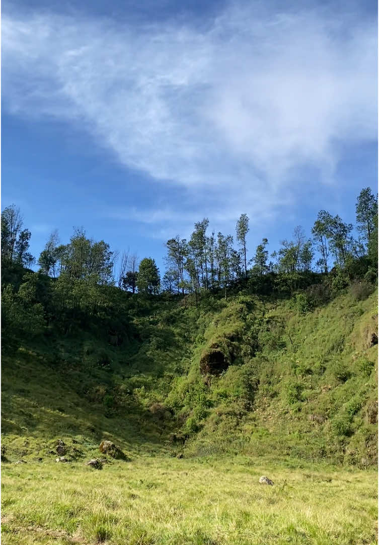 sabana kaldera mt pakuwaja #pendakigunung #pakuwaja2421mdpl 