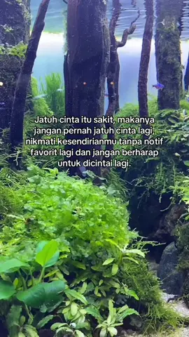 Nikmati kesendirian🥀 #sadstory #storytime #wanitadanceritanya #batakhits #lagubatak #move 