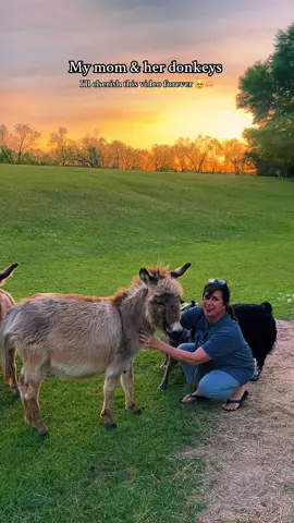 Grateful is an understatement. 🫶🏼 #farm #donkey #mymom 
