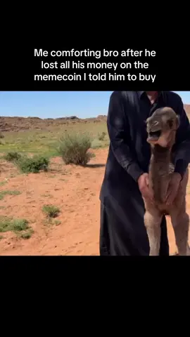 #bitcoin #memecoins #crypto #tradingcryptocurrency 