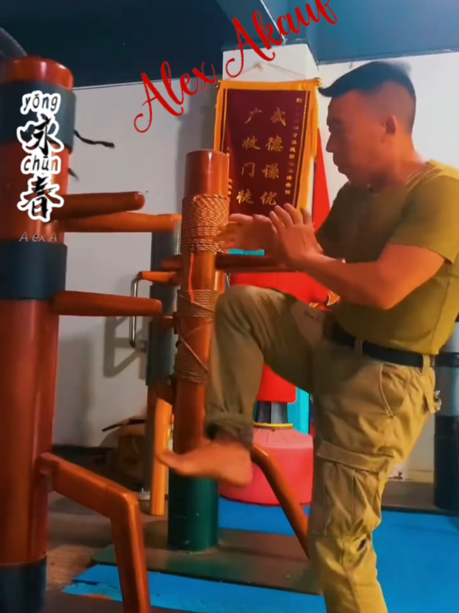 Wing Chun Wooden dummy drills #wingchun #vingtsun #wingtsun #woodendummy #wingchundrills #wingchunwoodendummy #mookjong 