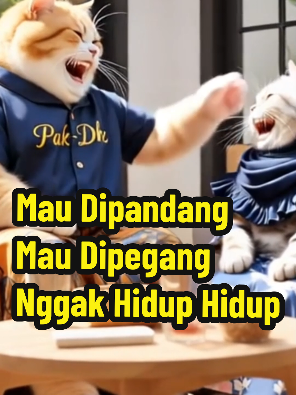 Sekedar Hiburan : Mau dipandang mau dipegang nggak hidup hidup #lucu_ngakak #lucu #meme #hiburan #kocak #kucinglucu #kucinggemoy 