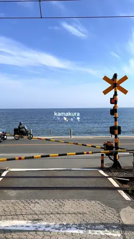 Perfect day trip from tokyo 🙂‍↕️ #japantravel #japanfood #kamakura #kamakurajapan #japanvlog 