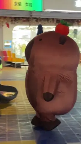 #capybara #peace #loveyou #cute 