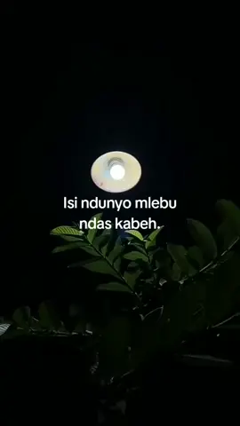 #wesmboh #ternosuntek #fyppppppppppppppppppppppp 