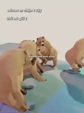 #meme #viral 
