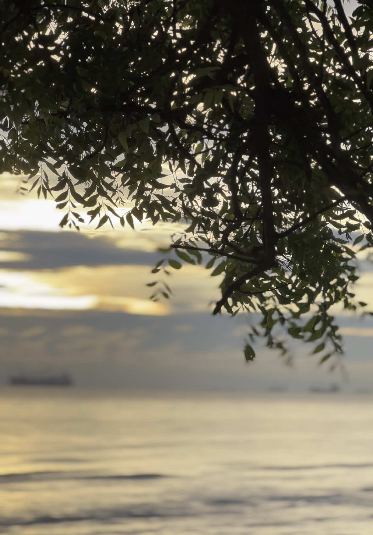 বিকেল বেলার আবহাওয়া সাথে সমুদ্র সৈকতের ঢেউ, আর সূর্যের অস্ত যাওয়ার শেষ দৃশ্য দেখার মতো অসাধারণ অনুভূতি আর কিছুই হতে পারে না।❤️‍🩹 • • • • • • • #tiktok #ctg #foryoupage #hype #sea #weather #foryou #trending 