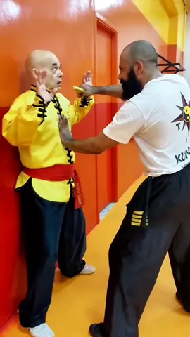 #tskf #kungfu #wushu #artemarcial #artesmarciais #defesapessoal #shaolin #chikung