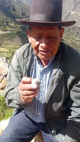 Cura la hemorroides con esta piedra #viral #plantamedicinal #patati 