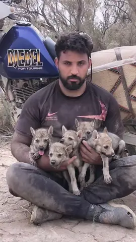 #صيد ــ الذئاب # عماره ــ ميسان # صيادين ــ العراق #ابو جمره المغامر #لايك #اشتراك 