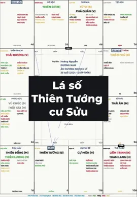 Tại sao Thiên Tướng hay than khổ? Luận lá số Thiên Tướng tại Sửu. #thientuong #menhthientuong #tuvi #lasotuvi #nhantuong #chiemtinh #phongthuy #cunghoangdao #huyenhoc #chinhtinhtuvi