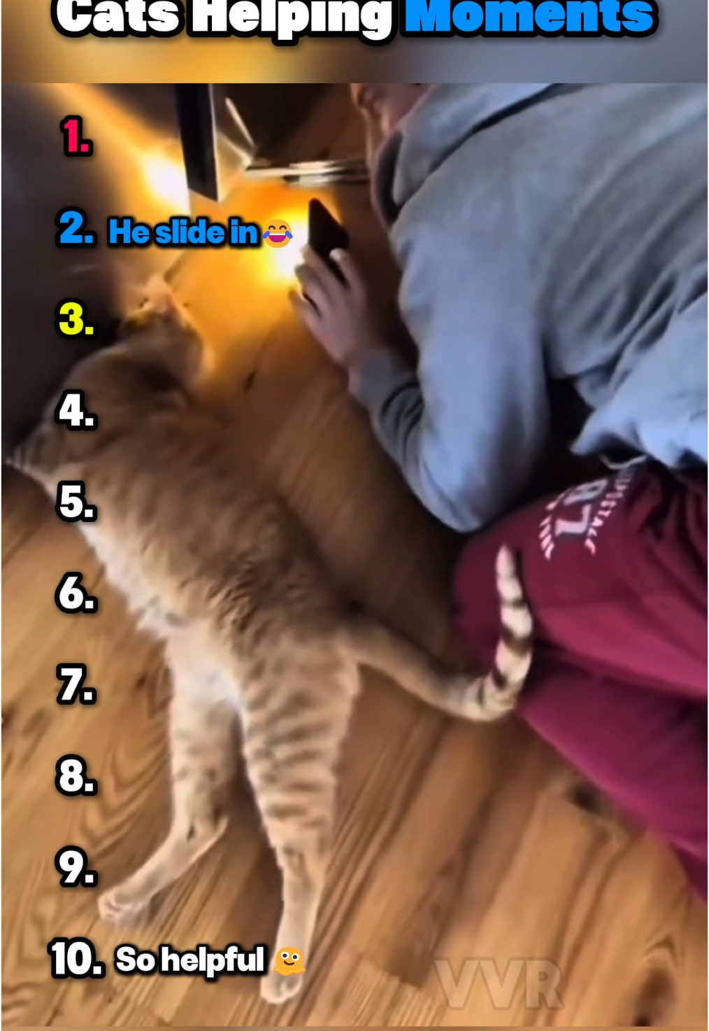 Ranking the Best of Cats helping humans #cat #cats #tiktokcats #trending #tiktoktrend #tiktokchat