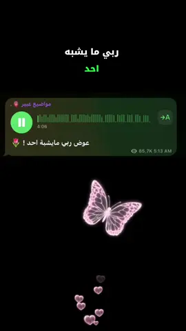 عرض ربي ما يشبه احد ❤️‍🩹🫧🦋#مواضيع_عبير #اطمئنان #foruyou 
