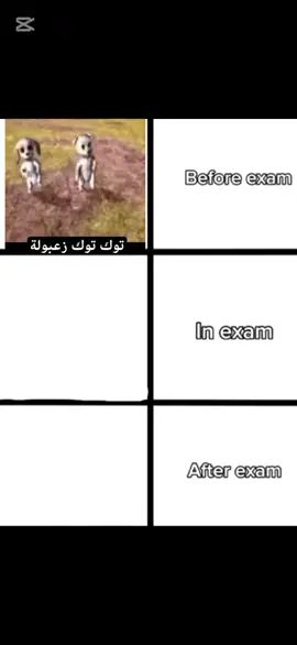 توك توك زعبولة🔥🛺 #الشعب_الصيني_ماله_حل😂😂  #ميمز #hased #امتحانات 😂😂 #الشعب_الصيني_ماله_حل😂😂 